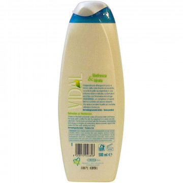 Vidal Coconut Water Bagnodoccia, 500 Ml