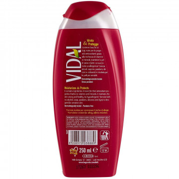 Vidal Doccia Bacche Di Goji, 250 Ml